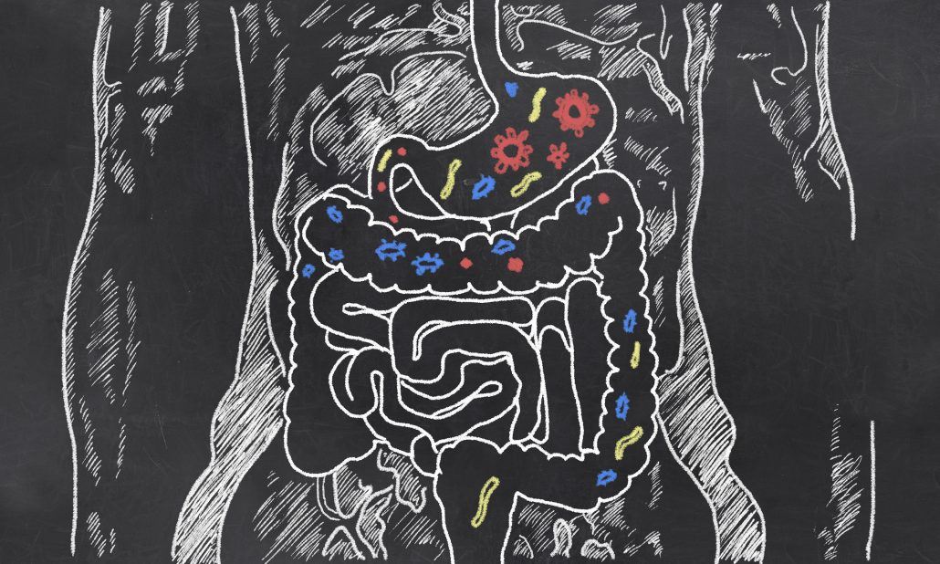 微生物组