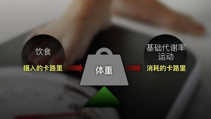 了解卡路里