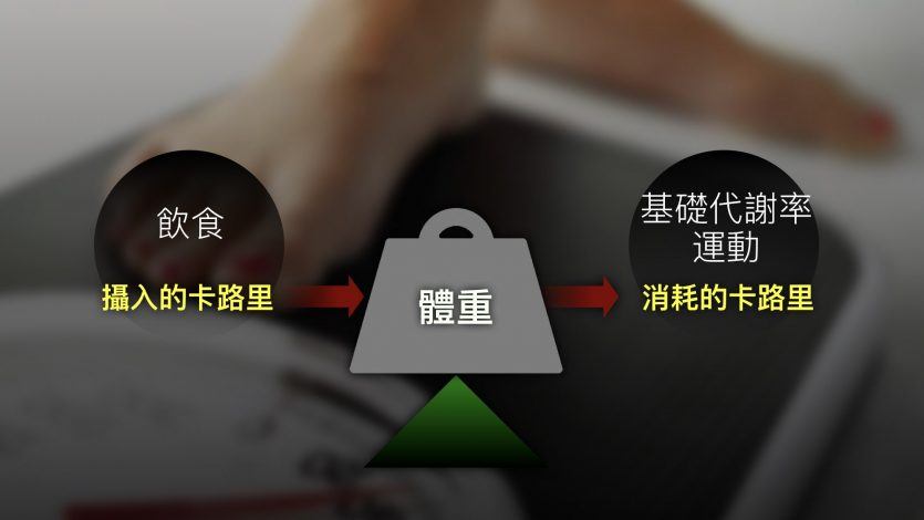 了解卡路里
