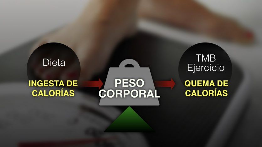 Cómo funcionan las calorías