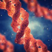 胶原蛋白三重螺旋分子