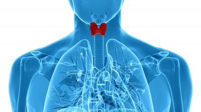 x线透视下男性甲状腺解剖